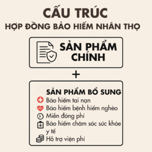 Cấu Trúc Hợp Đồng Bảo Hiểm Nhân Thọ